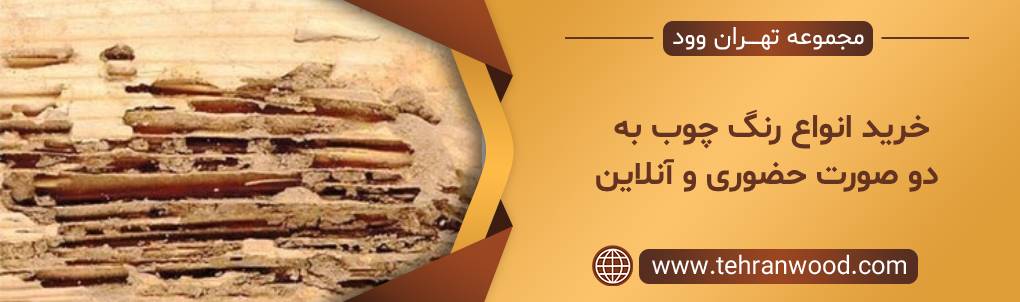 خرید رنگ چوب ضد موریانه