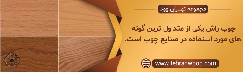 رنگ چوب راش