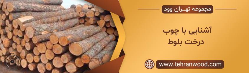آشنایی با چوب درخت بلوط