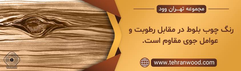 رنگ چوب بلوط در مقابل رطوبت و عوامل جوی مقاوم است.