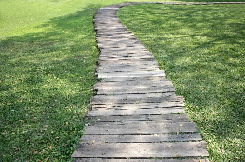 نمایش چوب در یک فضای پر رفت آمد در کف یک پارک